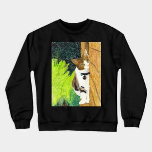 Peanut - A Sweet Cat Portrait in Colored Pencil Crewneck Sweatshirt